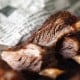 Smoked Bar-B-Q St. Louis Ribs
