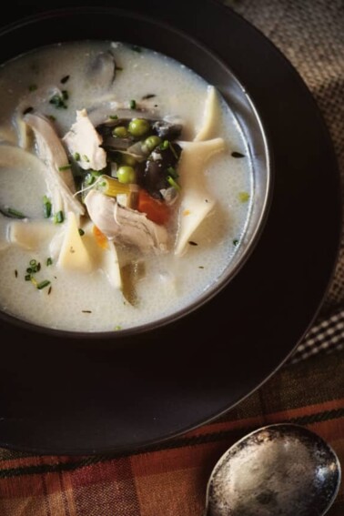 cropped-Slow-Cooker-Creamy-Chicken-Noodle-Soup-Kita-Roberts-GirlCarnivore-2-1.jpg