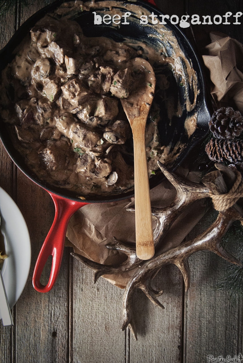 Beef Stroganoff Recipe | Kita Roberts GirlCarnivore.com