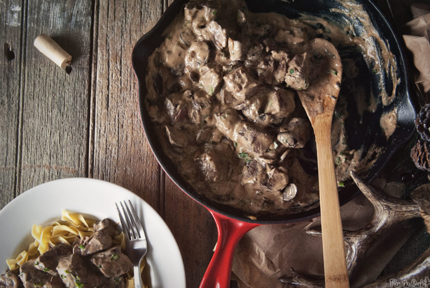 Beef Stroganoff Recipe | Kita Roberts GirlCarnivore.com