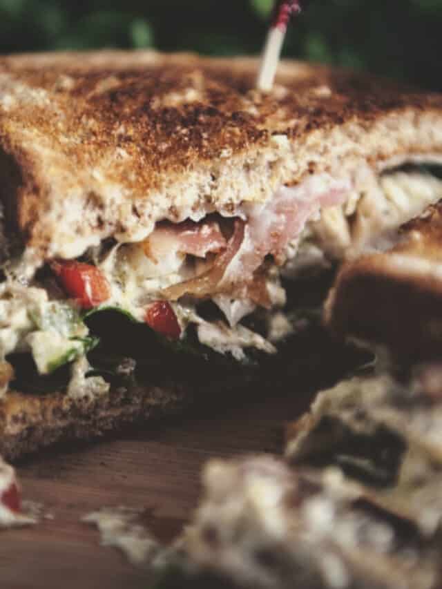 Pesto Chicken Salad for Two Story Girl Carnivore