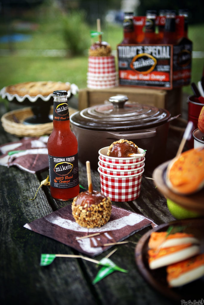 5 Tips for a Great Tailgating Party | Kita Roberts GirlCarnivore.com