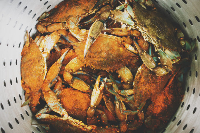 Steamed crabs in strainer pot - How to Steam Fresh Blue Crabs | Kita Roberts GirlCarnivore