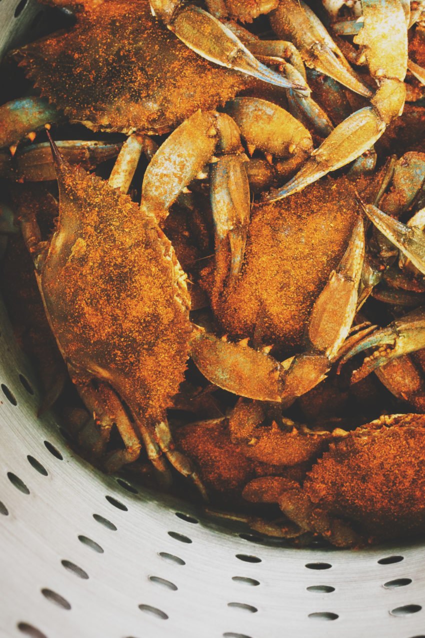 How to Steam Blue Crabs  The Ultimate Guide by Girl Carnivore
