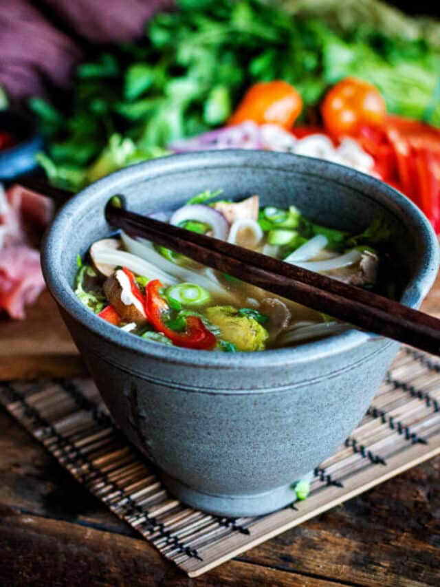 Bone Broth Beef Pho Story Girl Carnivore