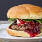 55-strawberry-jam-cheeseburgers-poet-in-the-pantry