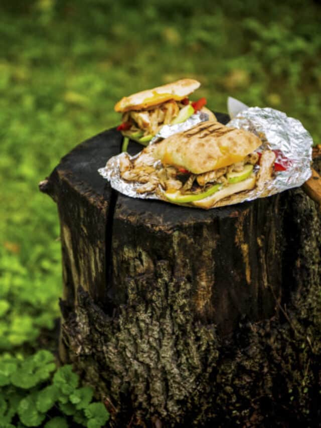 Campfire Grilled Chicken Panini Story