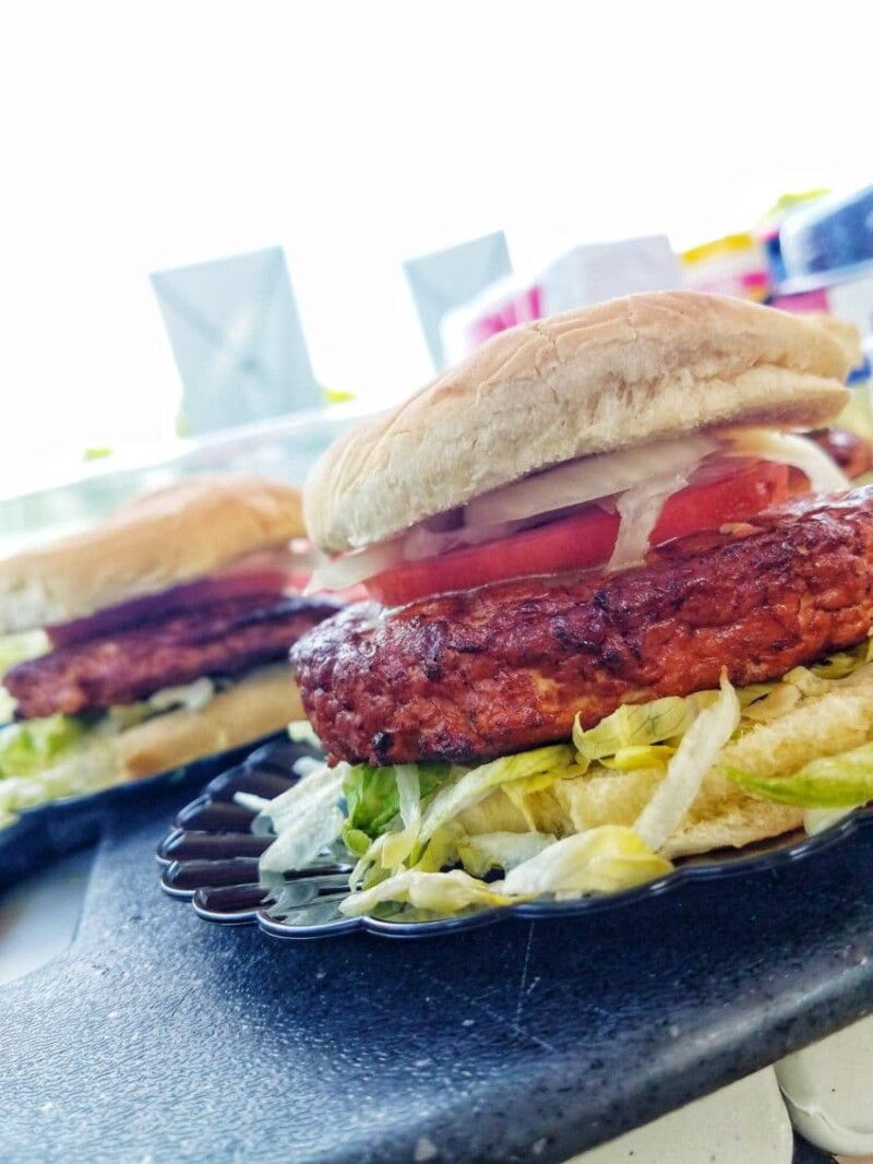 How to Use Wood Chips Grilling Tips