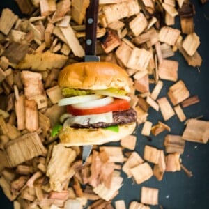 A smoky burger surrounded by wood chips.