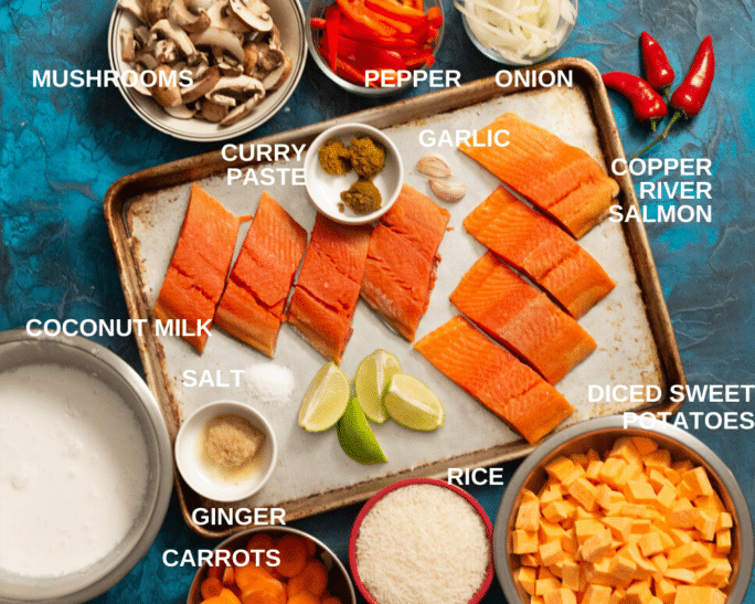 ingredients for salmon curry arranged to 