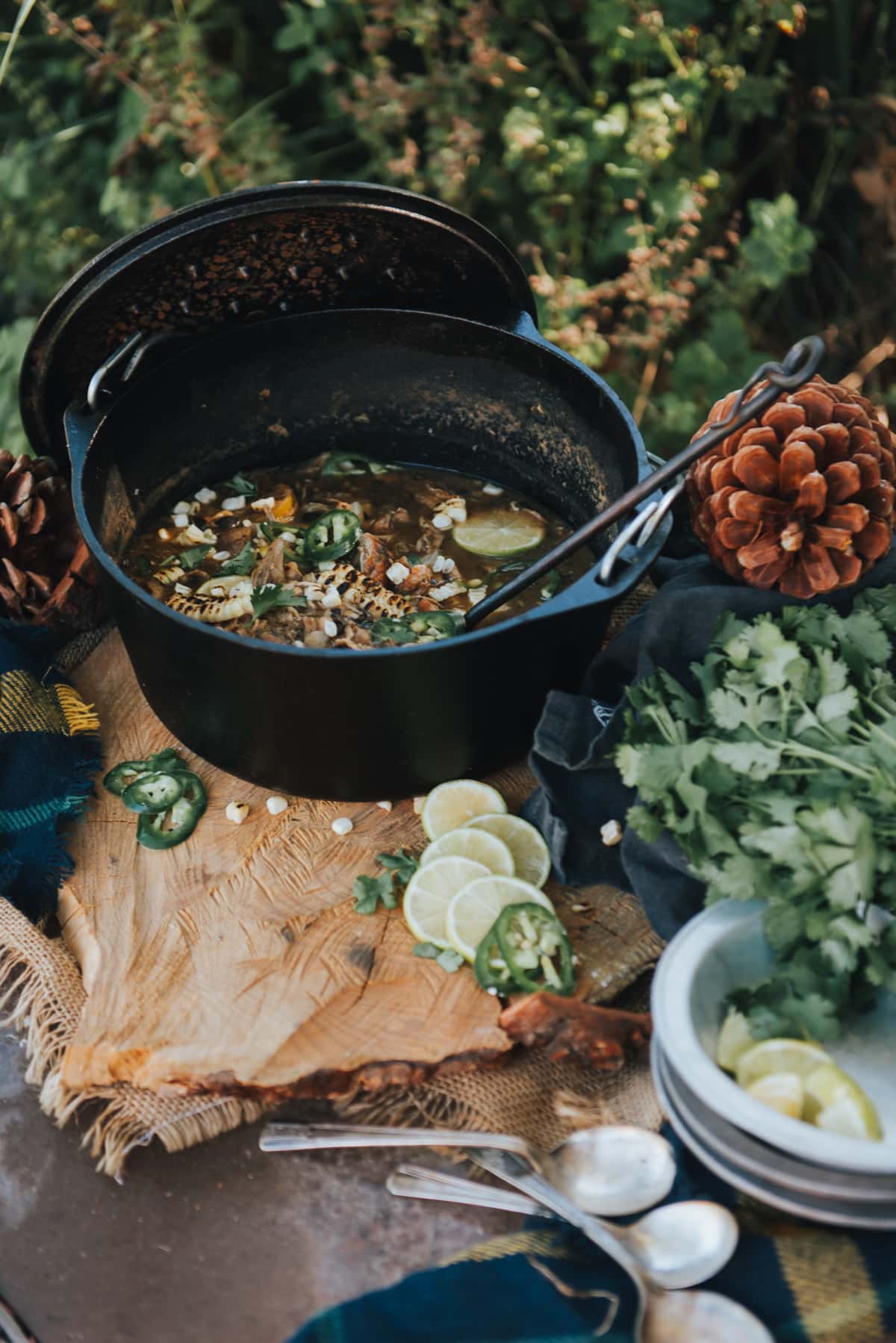 Showing white chicken chili in a Dutch oven outside in a woodland scene on a table with limes, jalapenos and avocados for topping