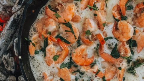 https://girlcarnivore.com/wp-content/uploads/2021/10/Cast-Iron-Garlic-Butter-Shrimp-003219776-480x270.jpg