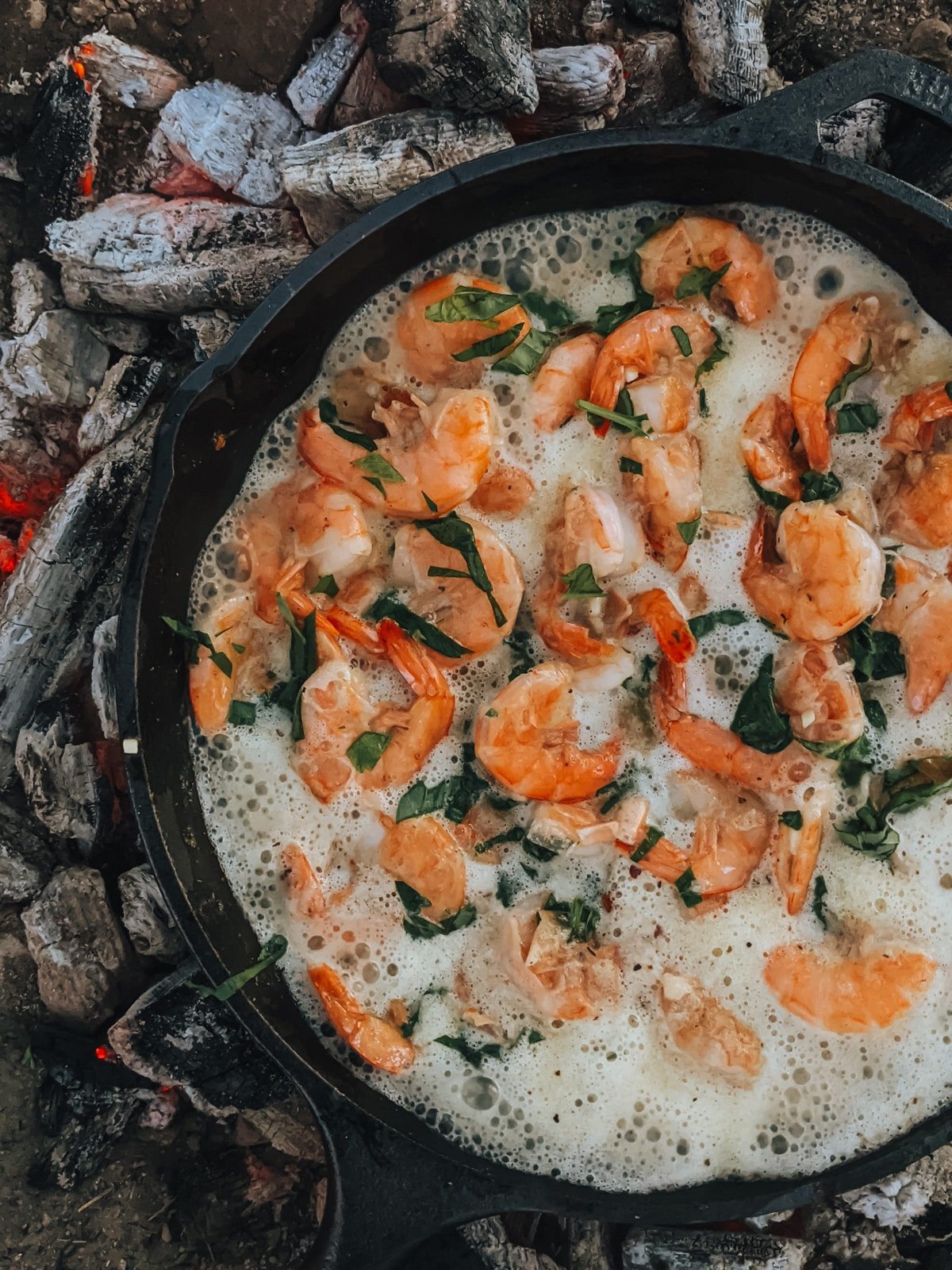 Cast iron skillet filled with garlicky butter shrimp and fresh herbs over a bed of coals.