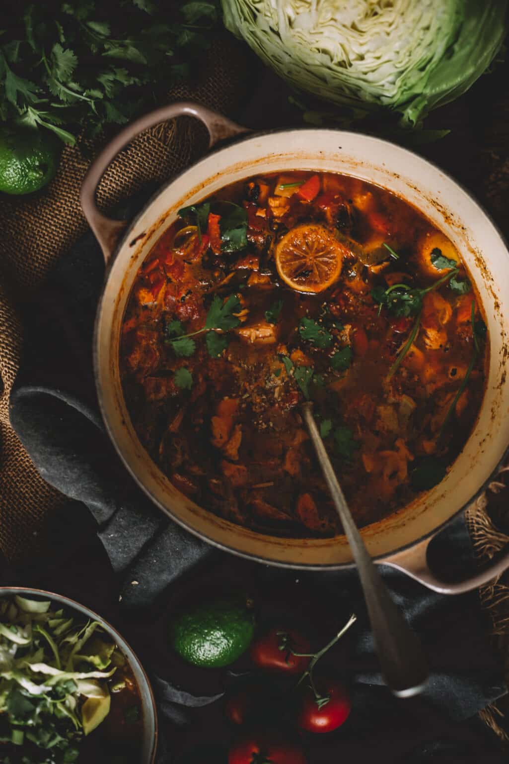 Mexican Chicken Soup - Girl Carnivore