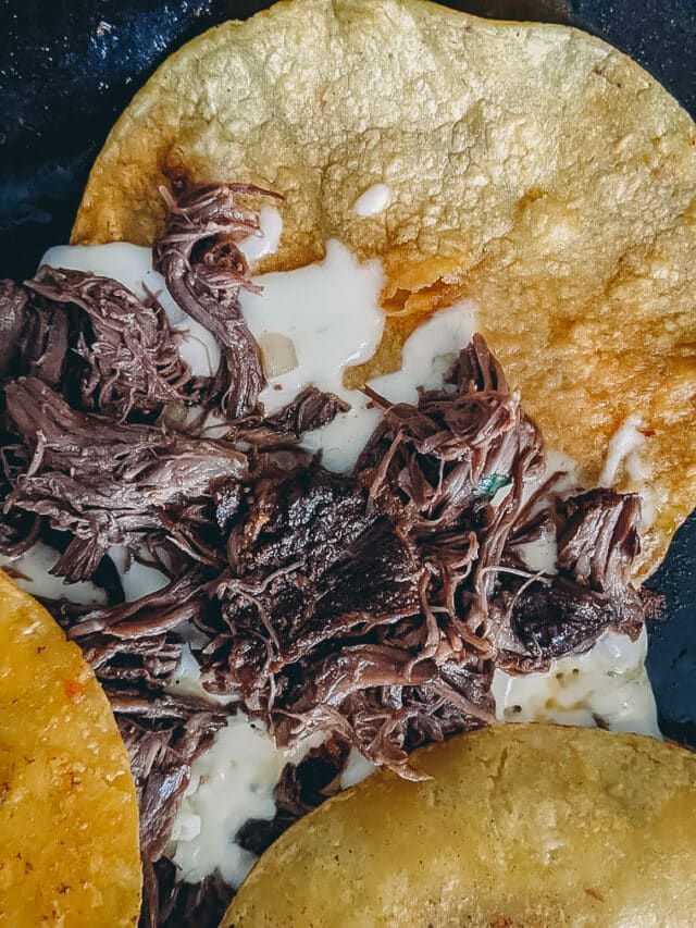 How to make Quesabirria Tacos Girl Carnivore