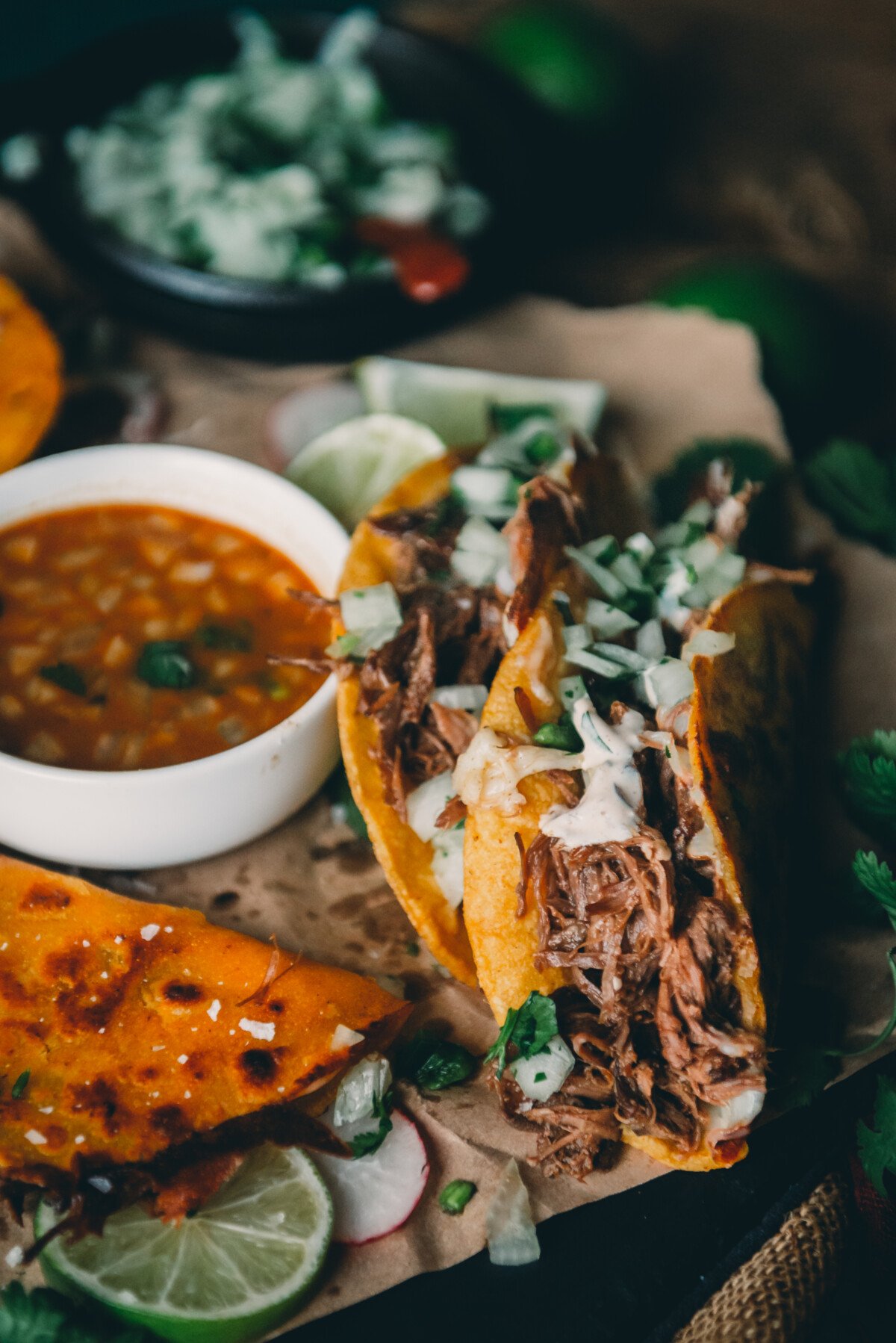 Birria Quesadilla - Girl Carnivore