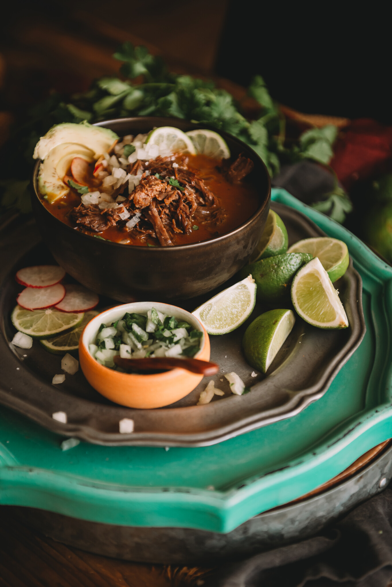 Cozy bowl of birria stew with onions and cilantro.