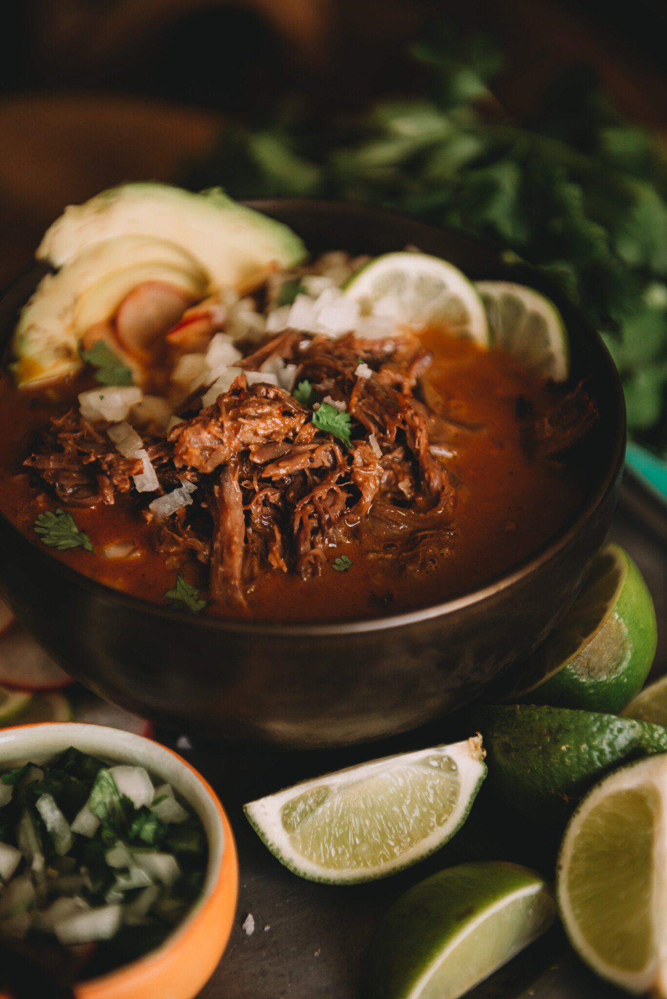 Close up shot of Mexican birria; shredded tender beef in a rich chilies infused broth