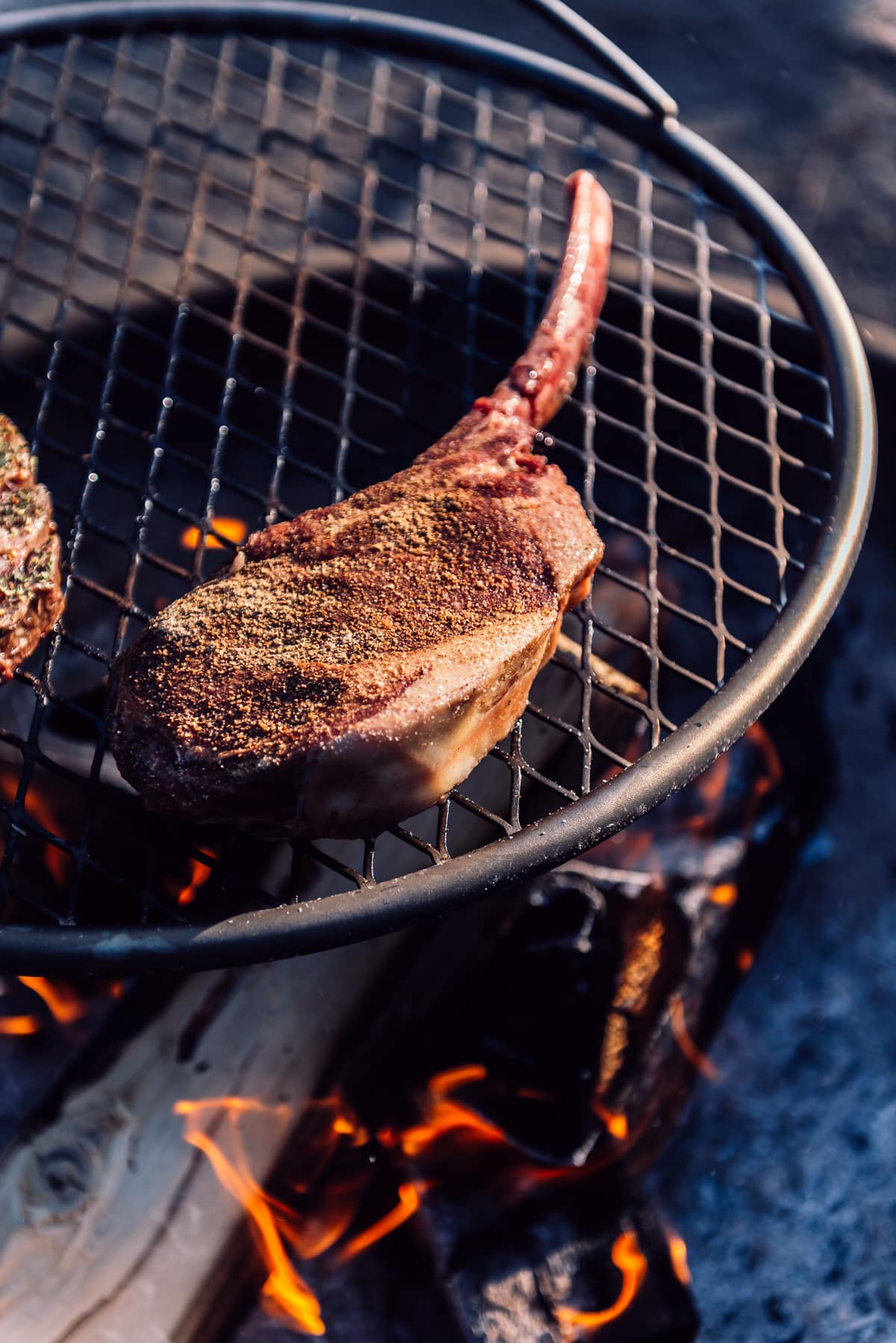 Huge tomahawk steaks, rubbed with girl carnivore ooomami rub and on a grill grate over a campfire. 