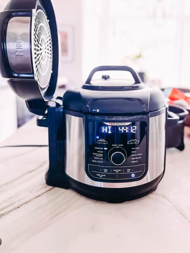 Instant Pot Beef Tallow Girl Carnivore