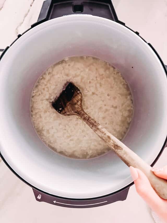 Instant Pot Beef Tallow Girl Carnivore