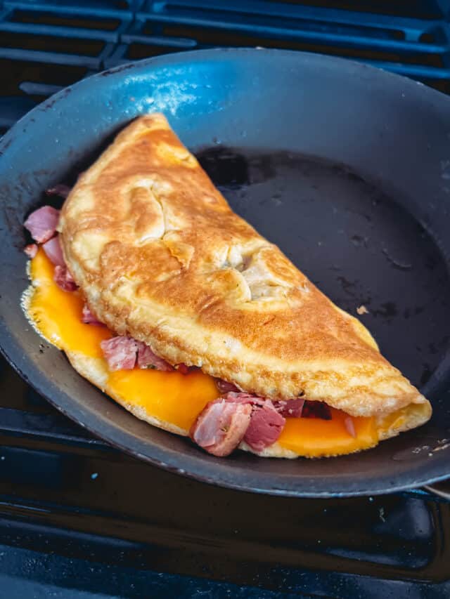 DinerStyle Ham and Cheese Omelette Girl Carnivore