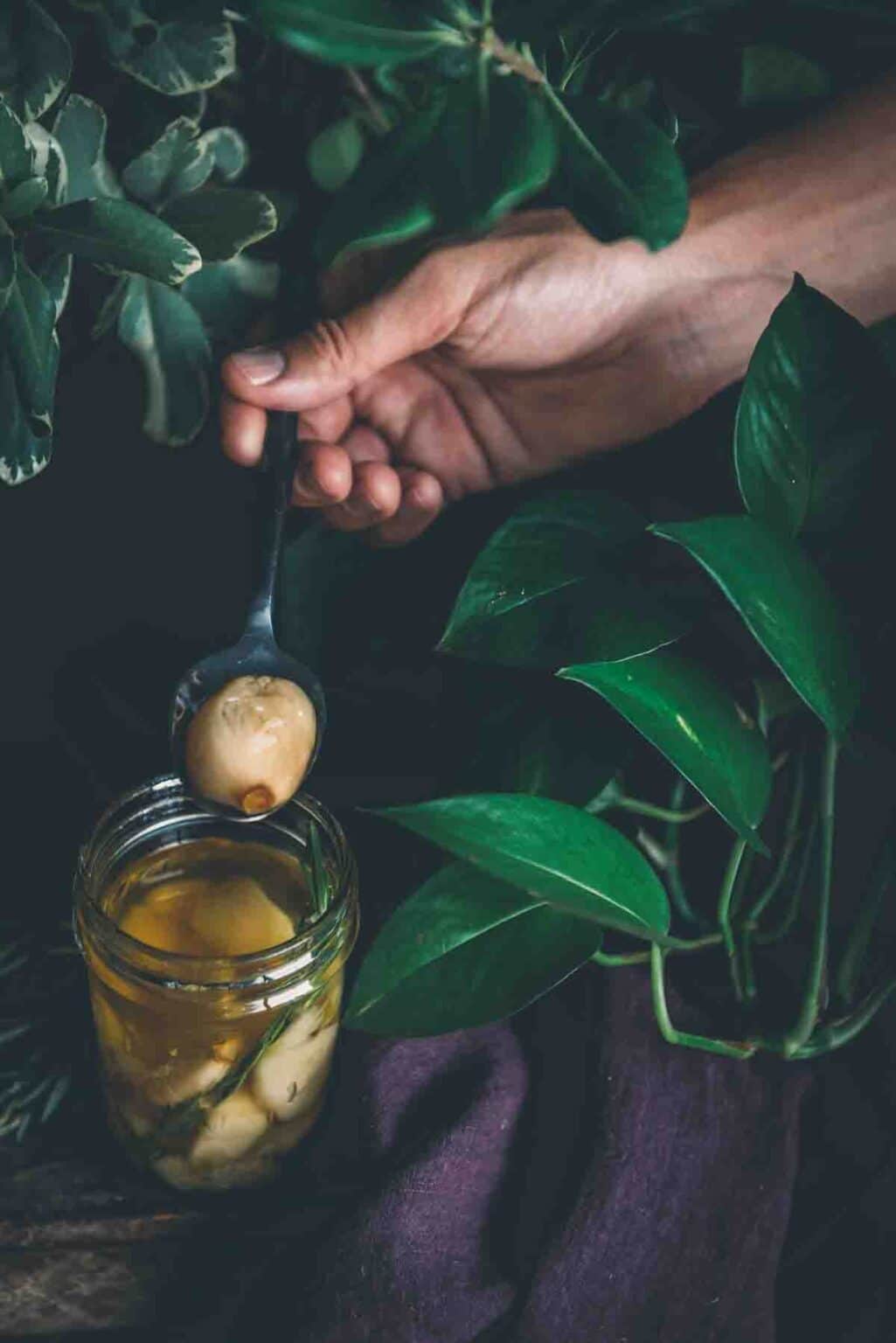 Smoked Garlic Confit Girl Carnivore