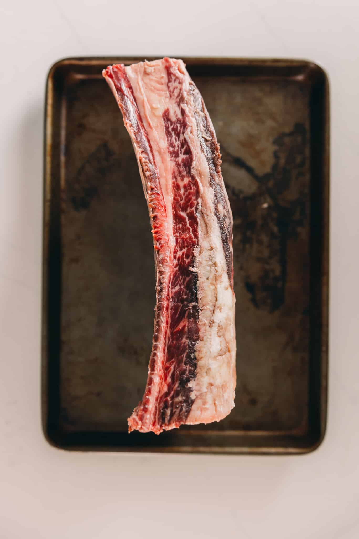 Showing the side of a beef rib as an example of meat to bone proportions. 