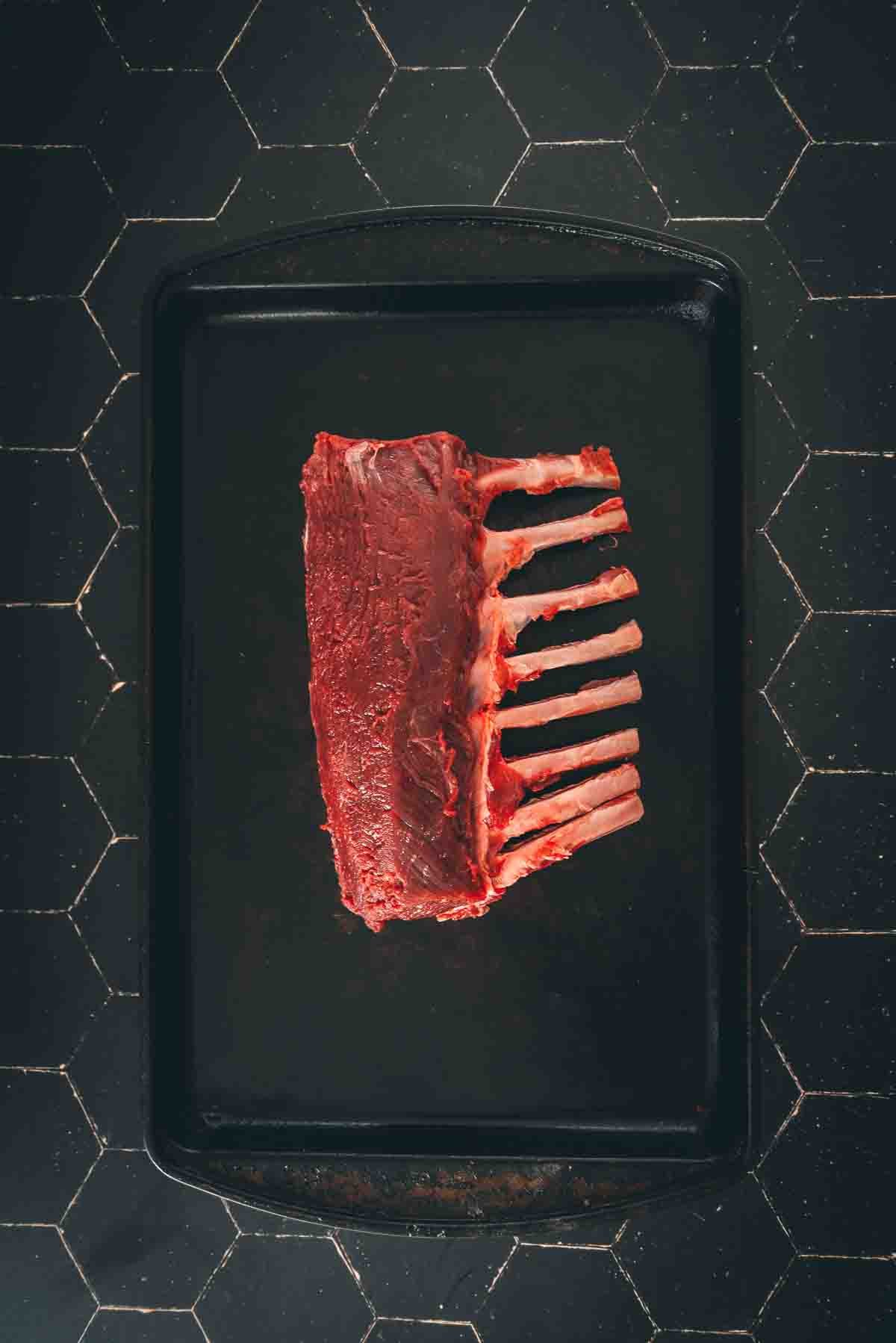 Beautifully frenched venison roast on a black board. 