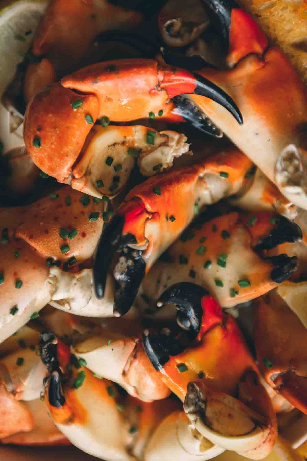 Close up of steamed claws garnished with minced chives. 
