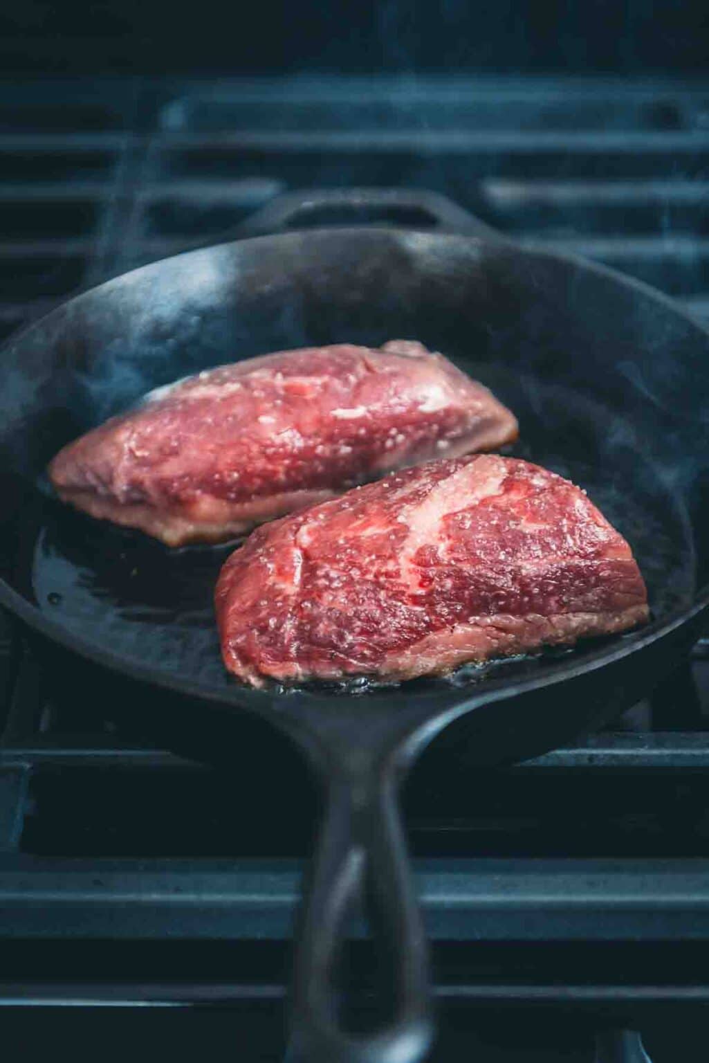 PanSeared TriTip Steaks Girl Carnivore