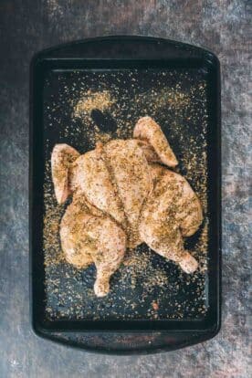 Grilled Spatchcock Chicken (Charcoal or Gas Grill) - Girl Carnivore