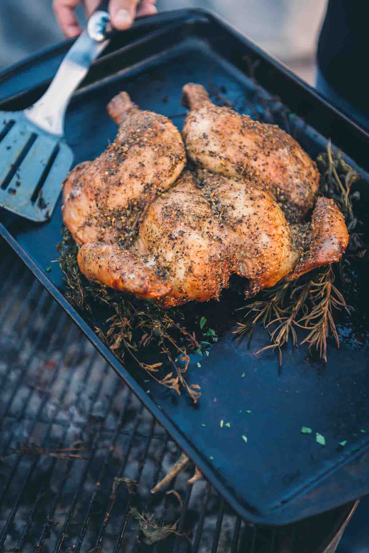 Grilled spatchcock chicken resting on a baking sheet. 