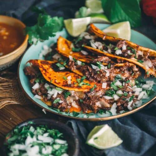 Ninja foodi birria recipe sale