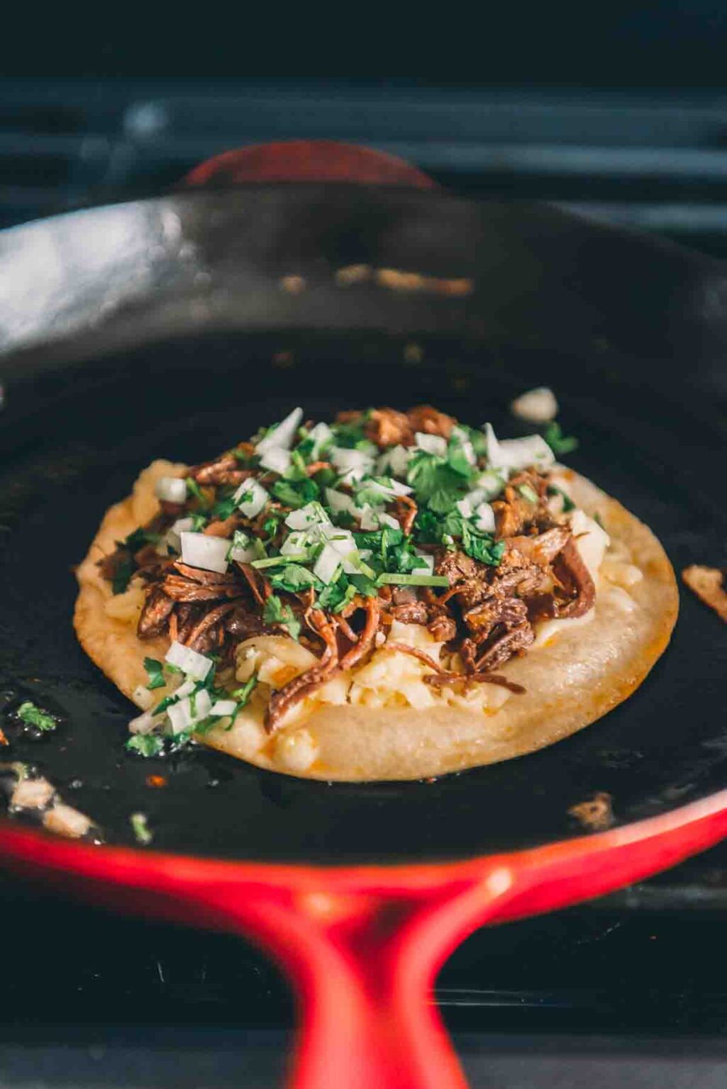 Birria Quesadilla Girl Carnivore