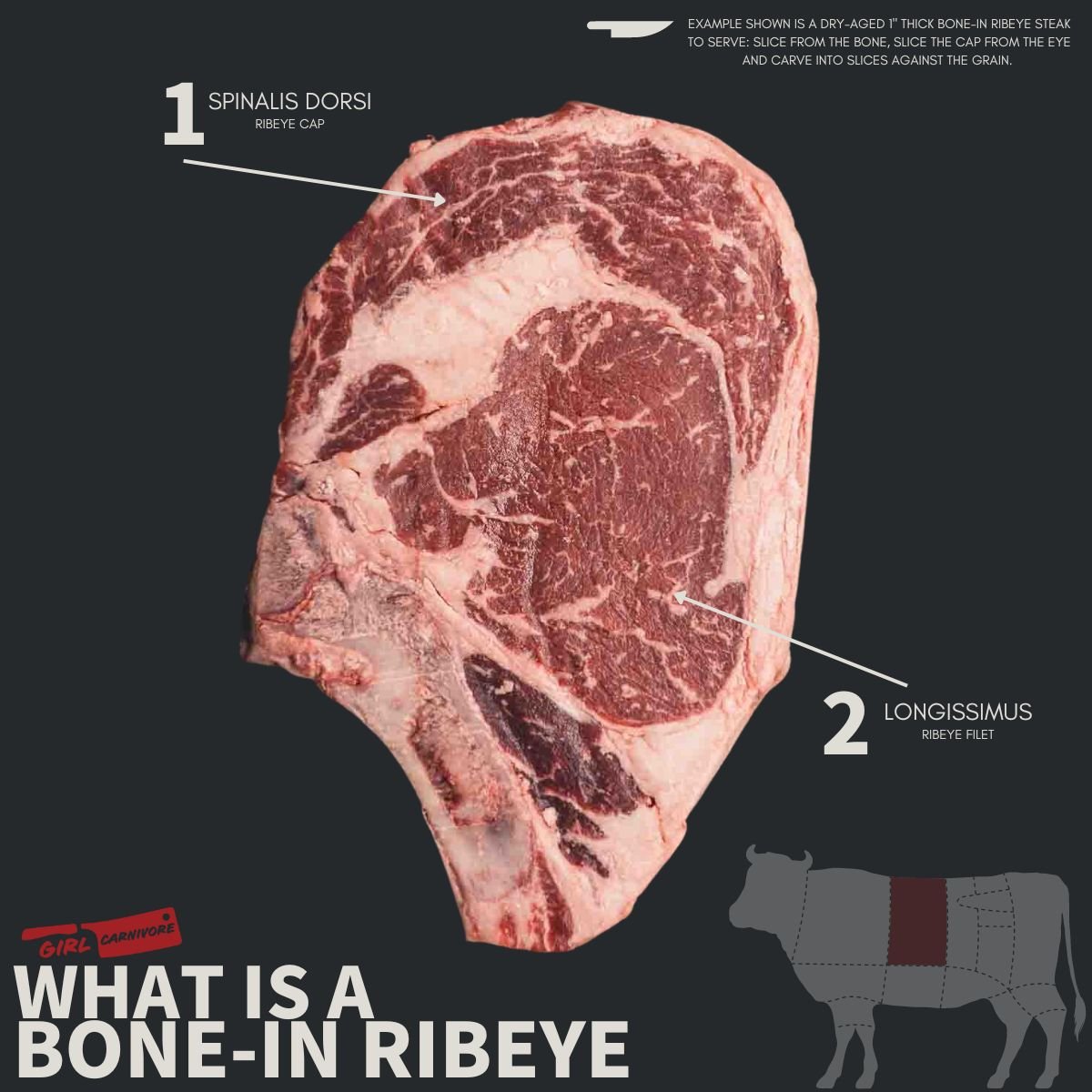 Diagram showing the make up of a ribeye steak pointing to the 2 major muscles. 