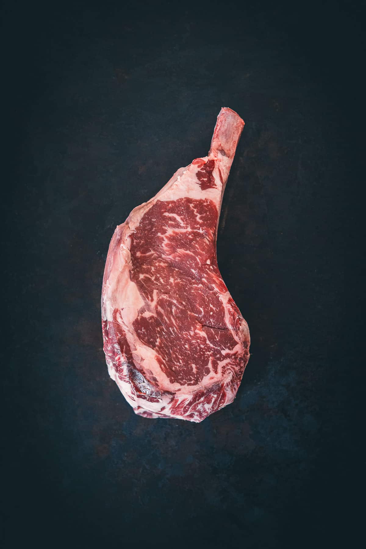 Raw cowboy ribeye steak to show short french bone protruding and marbling. 