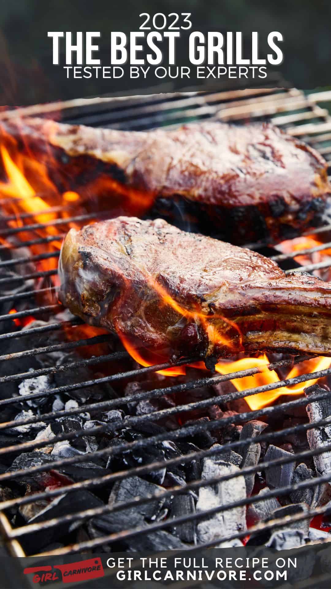 The Best Grills to Buy 2023 Girl Carnivore