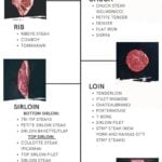 Infographic for types of steak cuts.