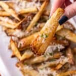 Pinterest image for air fryer garlic fries.