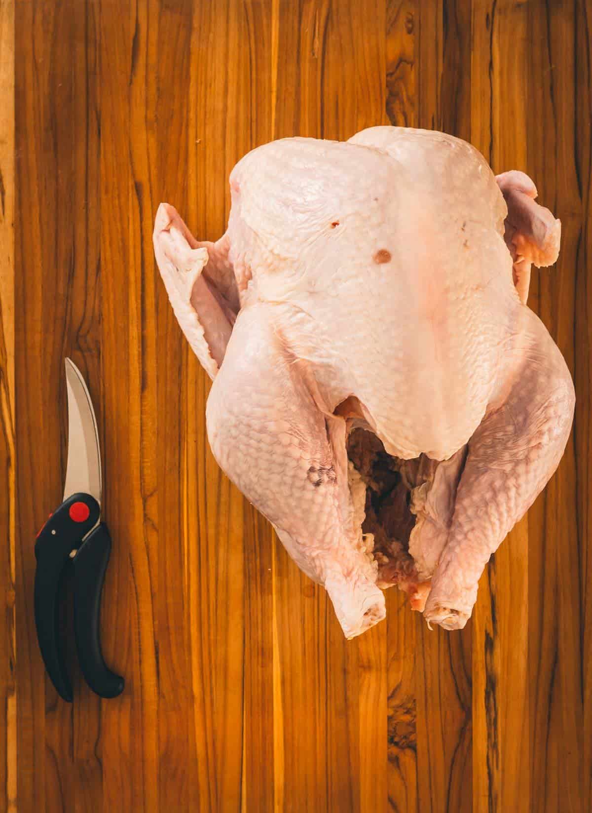 Raw turkey on clean work surface.