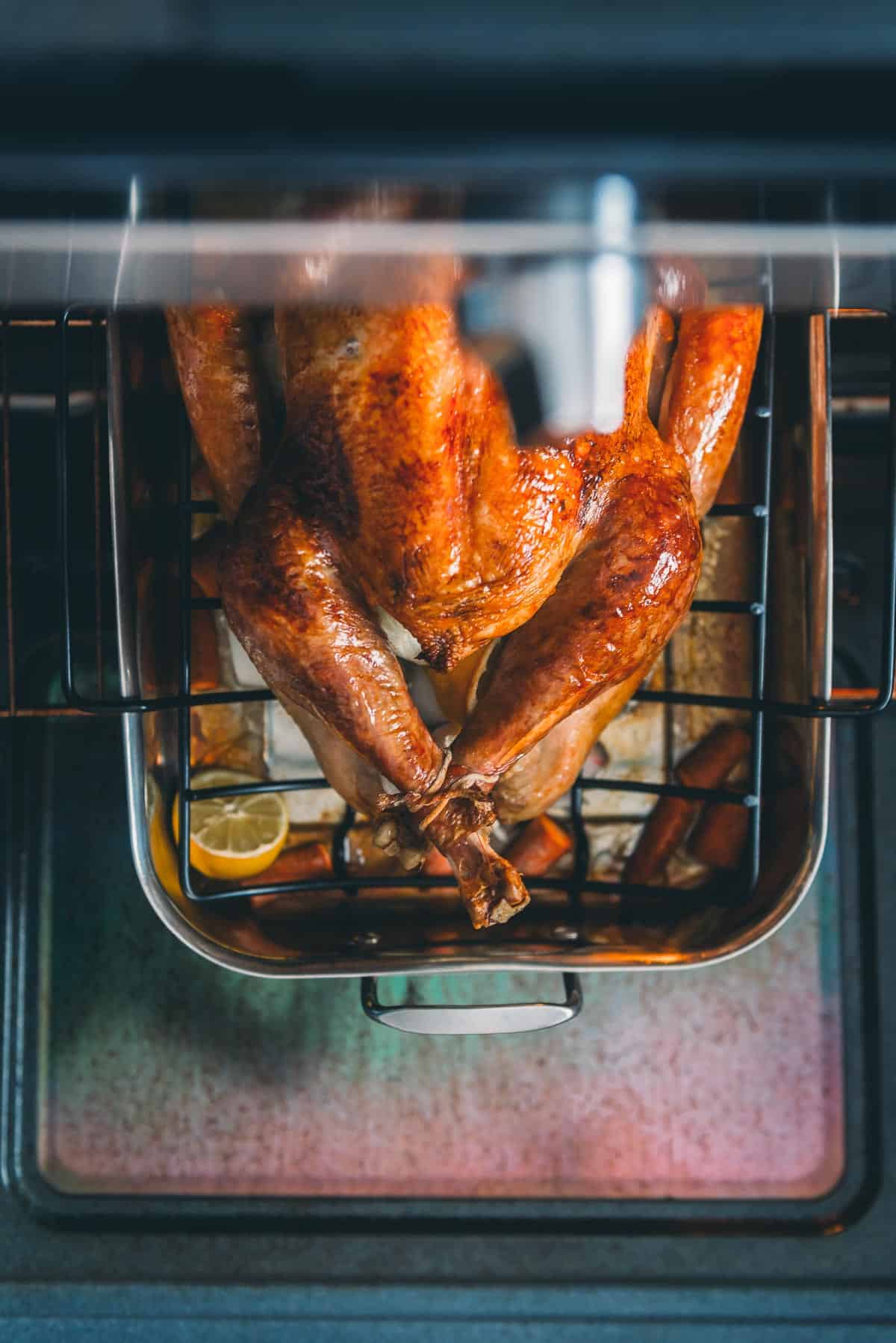 Roast turkey coming out of the oven with golden brown glistening skin.