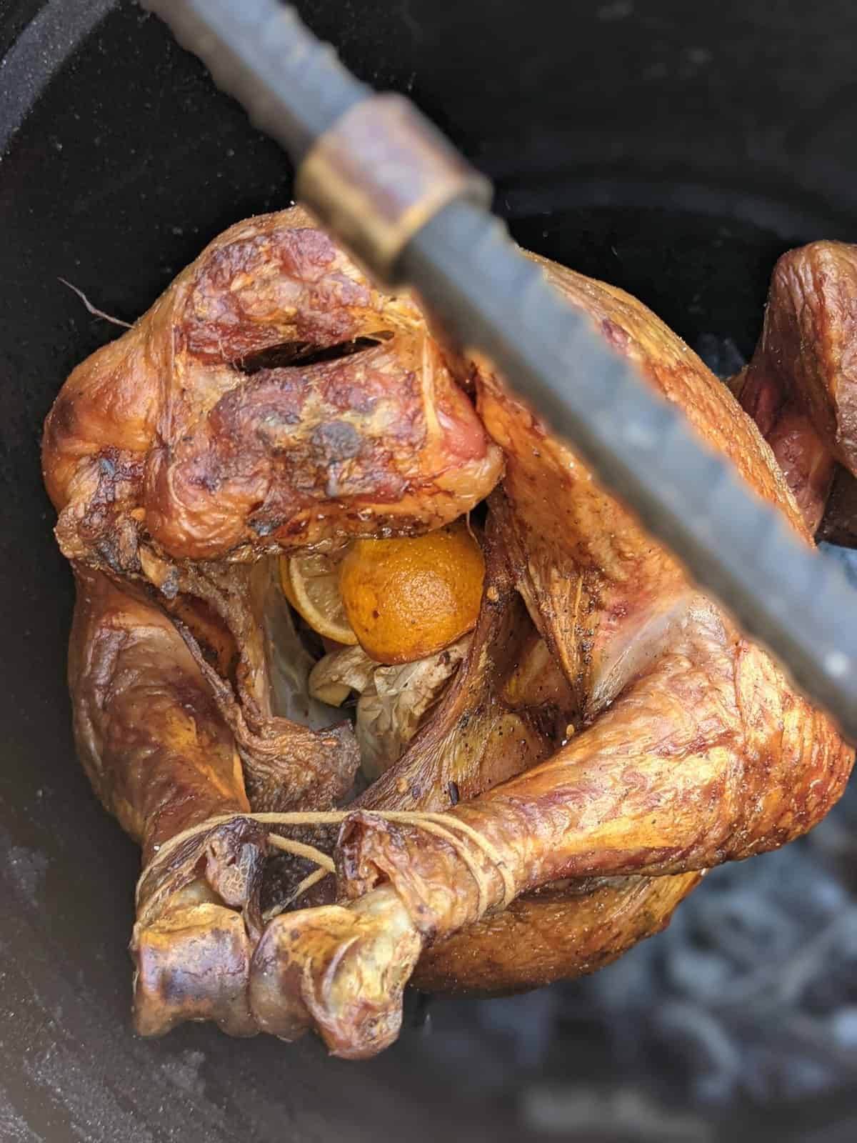 A turkey is being smoked, hanging in a drum smoker. 