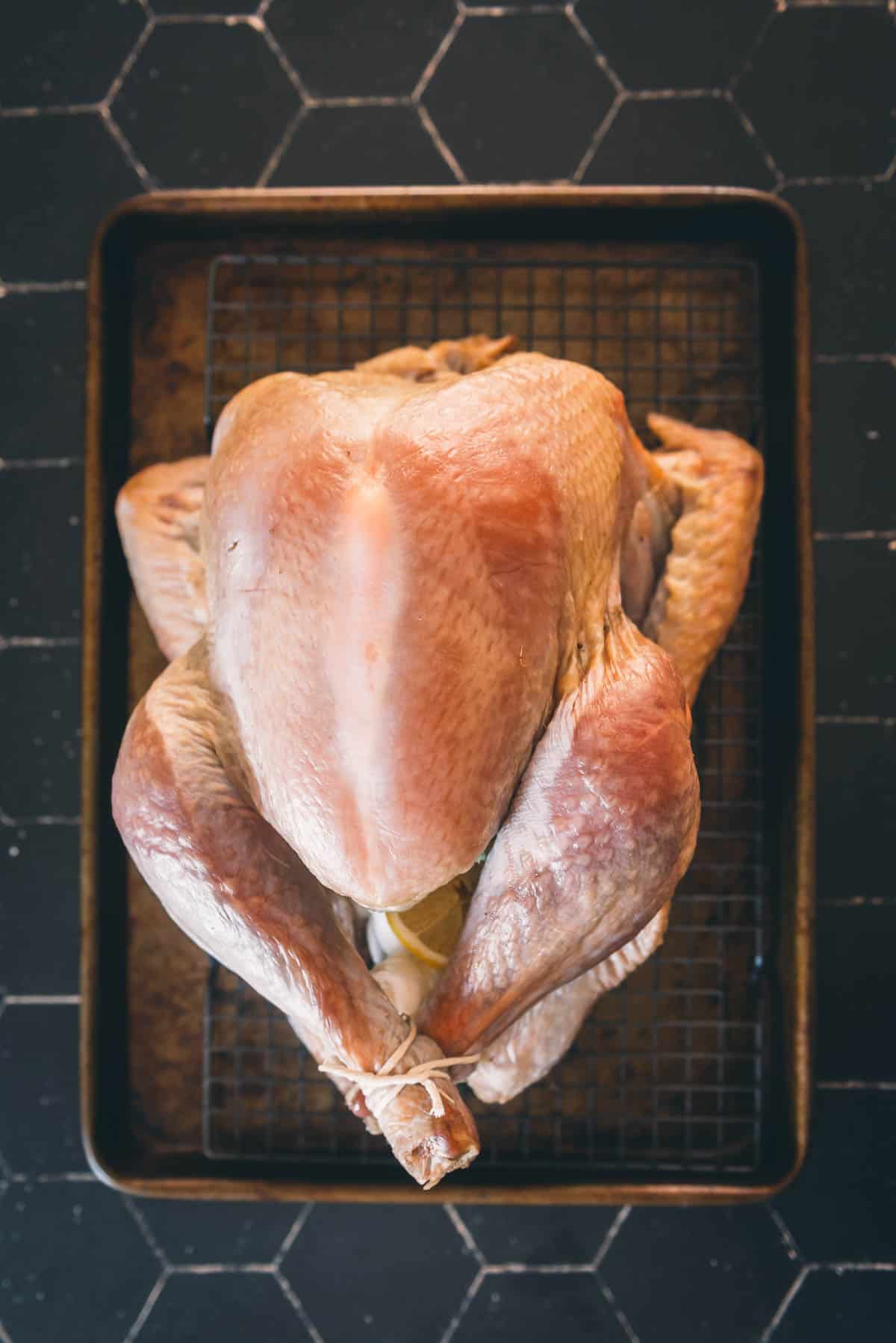 Turkey on a wire rack, stuffed with aromatics and trussed.