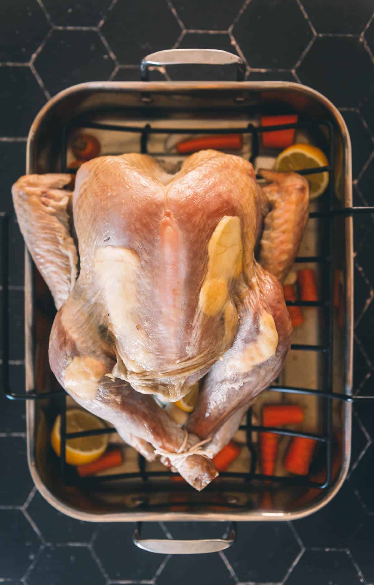Turkey nestled onto rack atop the roasting pan.
