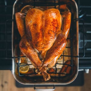 Roast turkey right from the oven with beautiful golden brown skin.