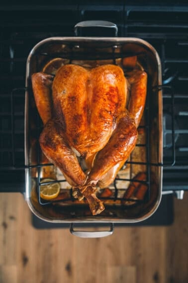 Roast turkey right from the oven with beautiful golden brown skin.