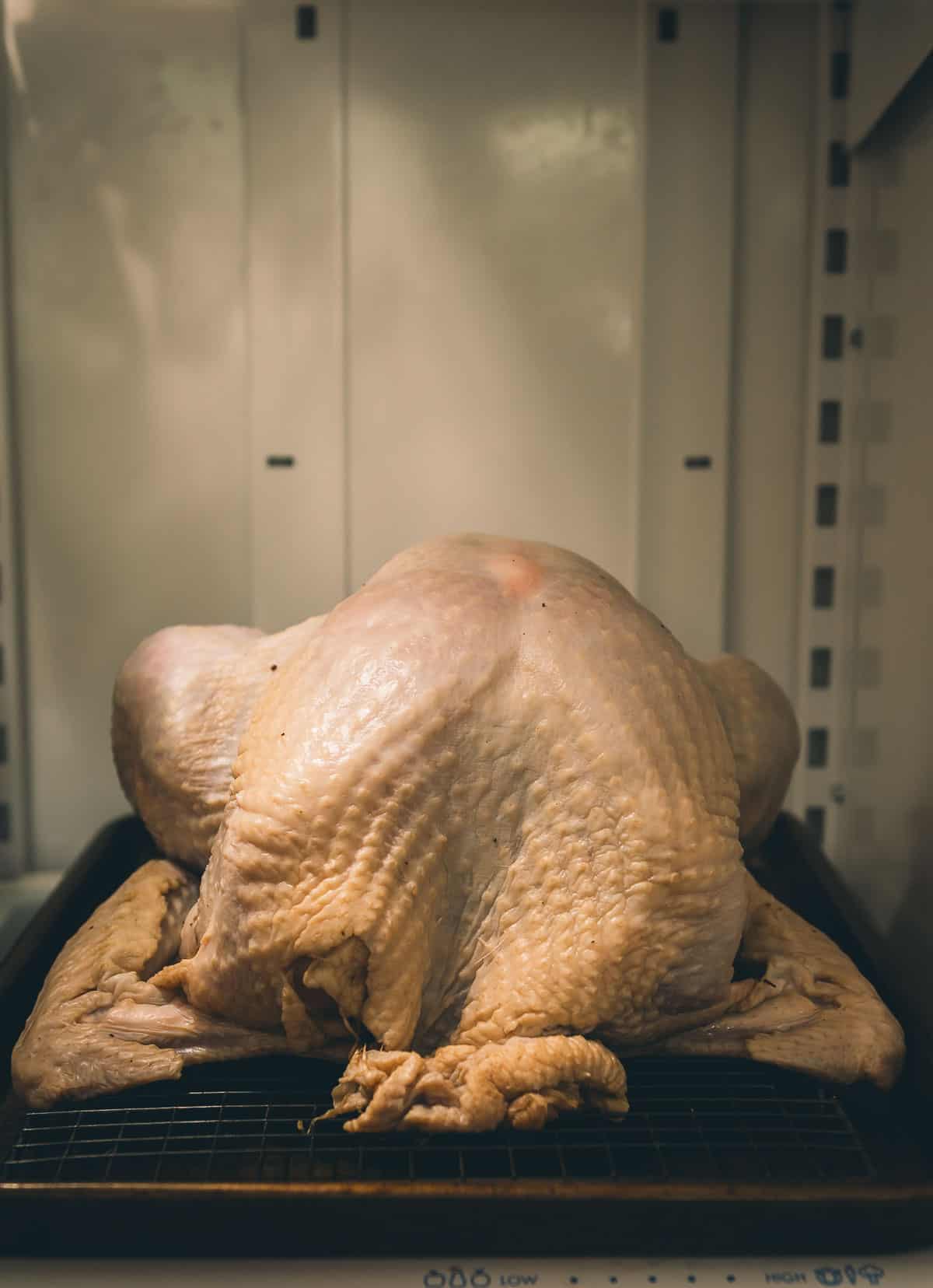 Turkey air drying on rack.