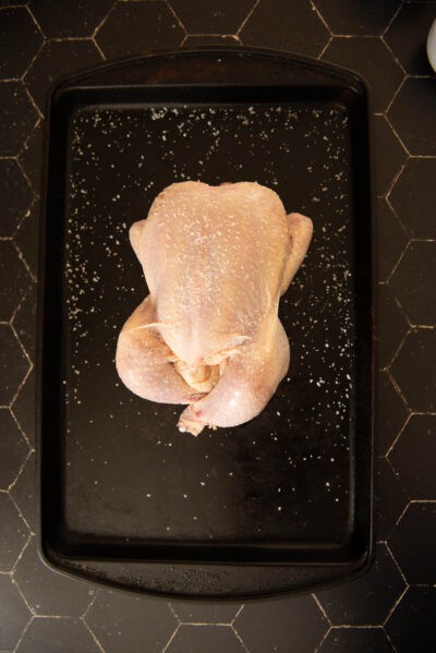 Dutch Oven Chicken Recipe - Girl Carnivore