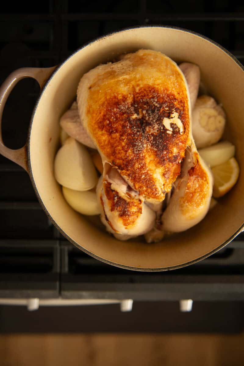 Chicken with skin browned in a Dutch oven on the stove ready to go into the oven.